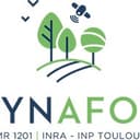 Dynafor