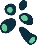 Ethicweb