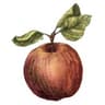 Finnriver Farm & Cidery