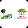 CIFOR-ICRAF