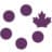 FRAS Canada