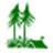 Forest School Camps