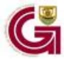Galway City Council