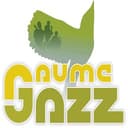 Gaume Jazz Festival