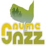 Gaume Jazz Festival