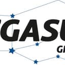 Groupe PEGASUS