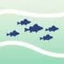Irish Ramsar Wetlands Committee