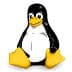 The Linux Kernel Organization