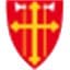 Den norske kirke