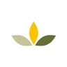 LemonTree Services