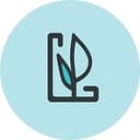 Level Up Strategies