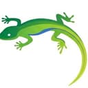 LizardTech