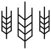 Mainstem Malt