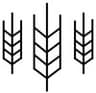 Mainstem Malt