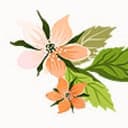Mango and Salt