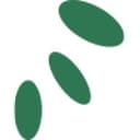 Moringa