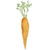 Mountain Roots Food Project