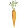 Mountain Roots Food Project