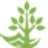 Nature-based Solutions Initiative