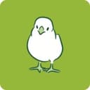 NestBorn