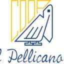 Pellicano