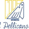 Pellicano