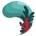 Global Seaweed Coalition