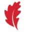 Seed Capital Bizkaia