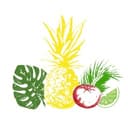 Shiok Farm
