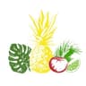 Shiok Farm