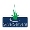 SilverServers