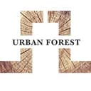 Urban Forest Beauty