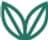 The Vegan Inclusion Co