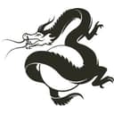 Where There Be Dragons