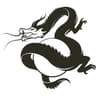 Where There Be Dragons